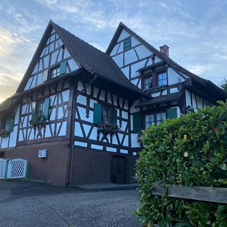 Basler Ferienwohnung Offenburg Dış mekan fotoğraf