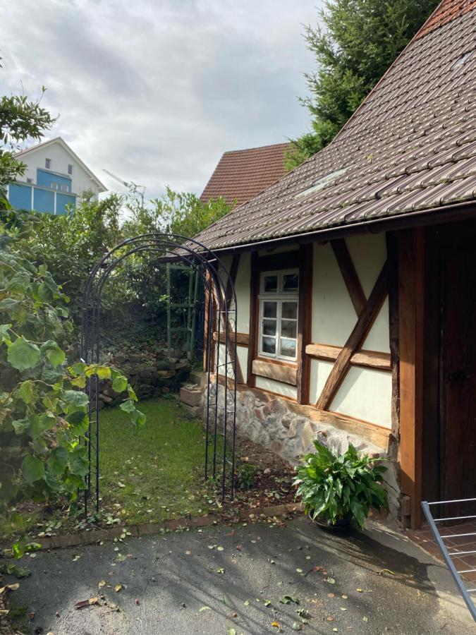 Basler Ferienwohnung Offenburg Dış mekan fotoğraf