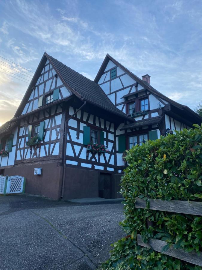 Basler Ferienwohnung Offenburg Dış mekan fotoğraf